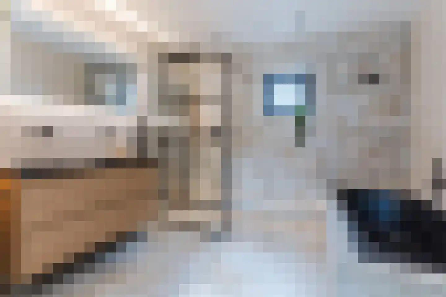 Loo 15 Bergeijk thumbnail 30