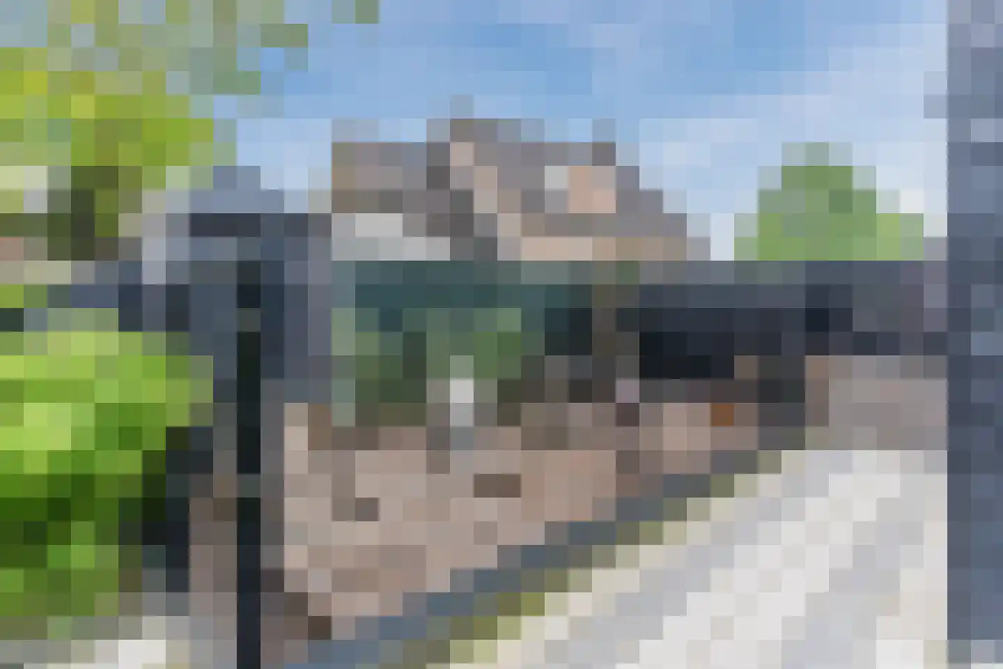 Loo 15 Bergeijk thumbnail 54