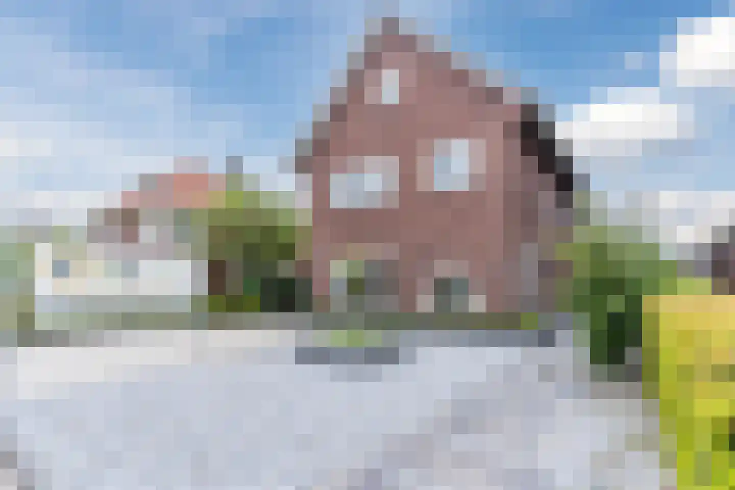 Loo 15 Bergeijk thumbnail 6