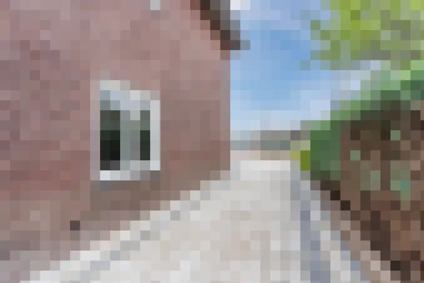 Loo 15 Bergeijk thumbnail 61