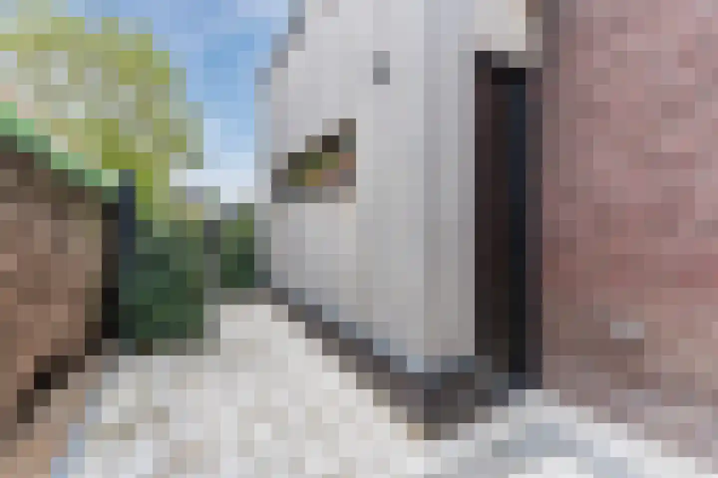 Loo 15 Bergeijk thumbnail 62