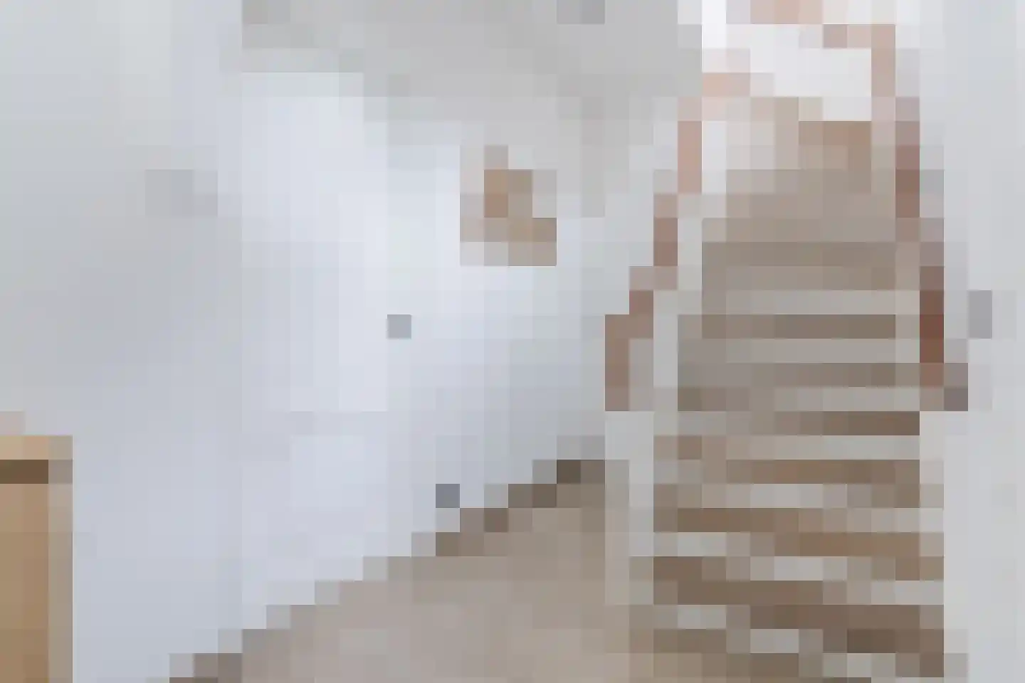 Loo 15 Bergeijk thumbnail 8