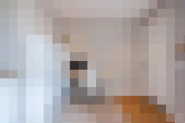 Loo 17 Bergeijk thumbnail 23