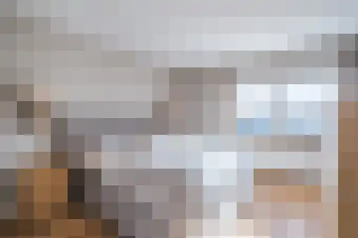 Loo 17 Bergeijk thumbnail 26
