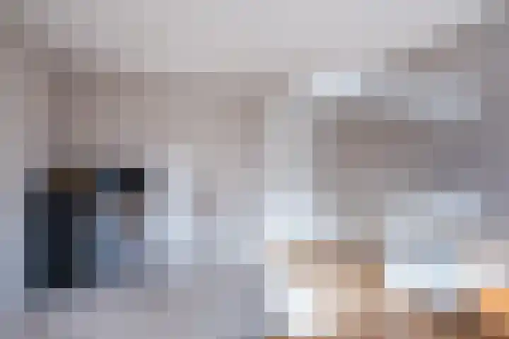 Loo 17 Bergeijk thumbnail 32