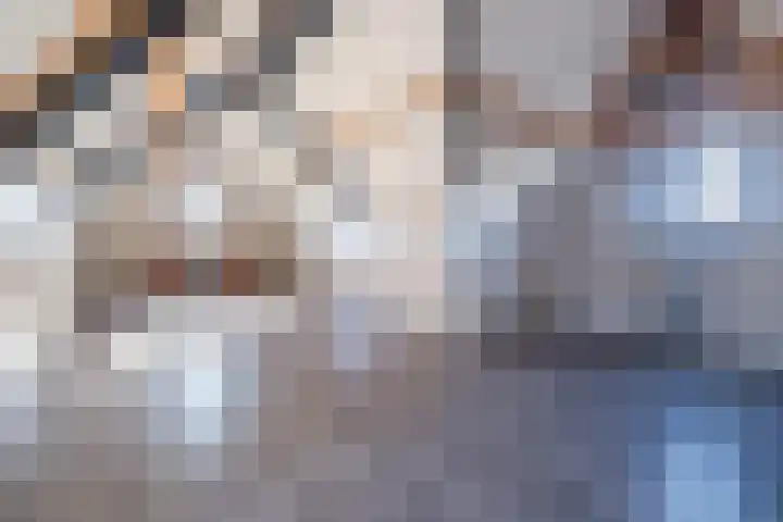 Loo 17 Bergeijk thumbnail 36