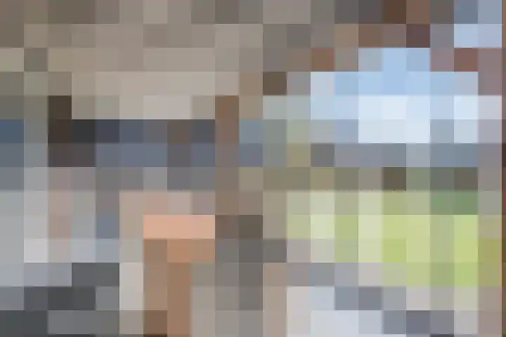 Loo 17 Bergeijk thumbnail 4