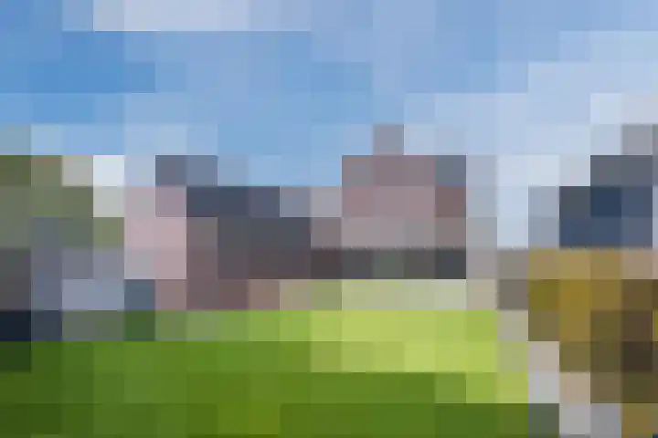 Loo 17 Bergeijk thumbnail 40