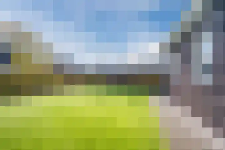 Loo 17 Bergeijk thumbnail 49