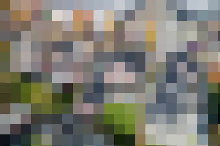 Loo 17 Bergeijk thumbnail 50
