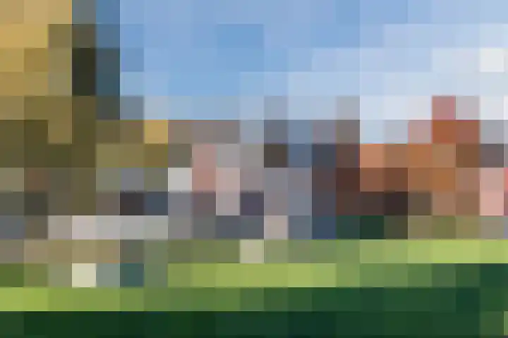 Loo 17 Bergeijk thumbnail 52