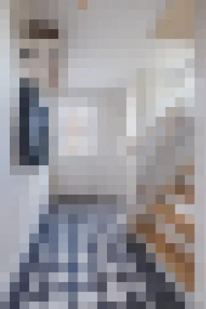 Loo 17 Bergeijk thumbnail 8