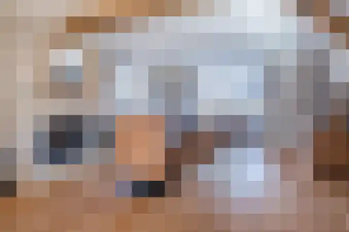 Loo 17 Bergeijk thumbnail 9