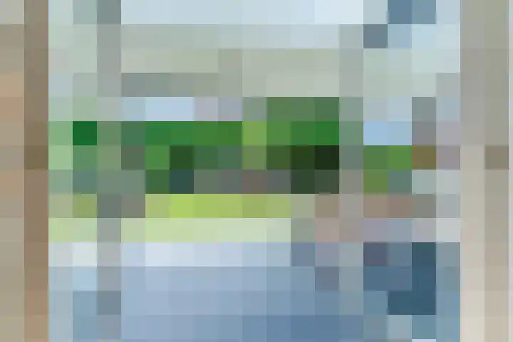 Loo 23 Bergeijk thumbnail 15