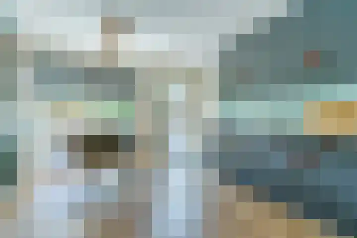 Loo 23 Bergeijk thumbnail 16