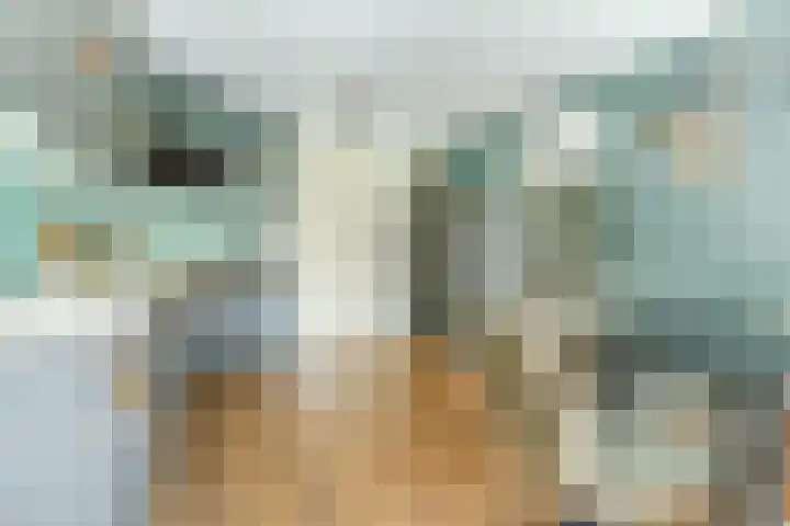 Loo 23 Bergeijk thumbnail 17