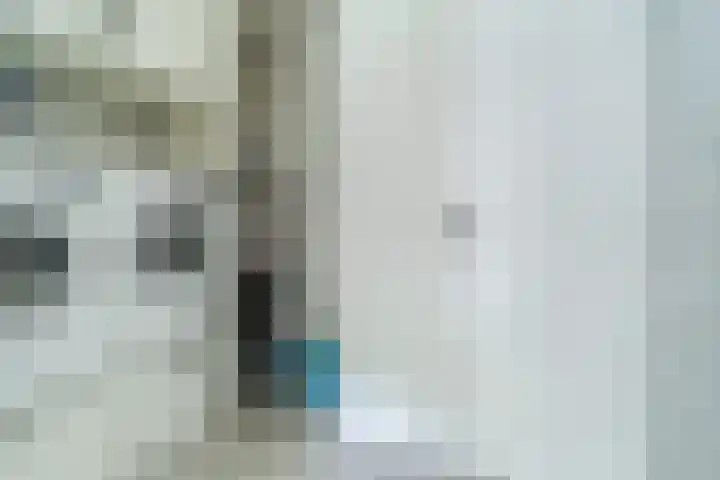 Loo 23 Bergeijk thumbnail 19