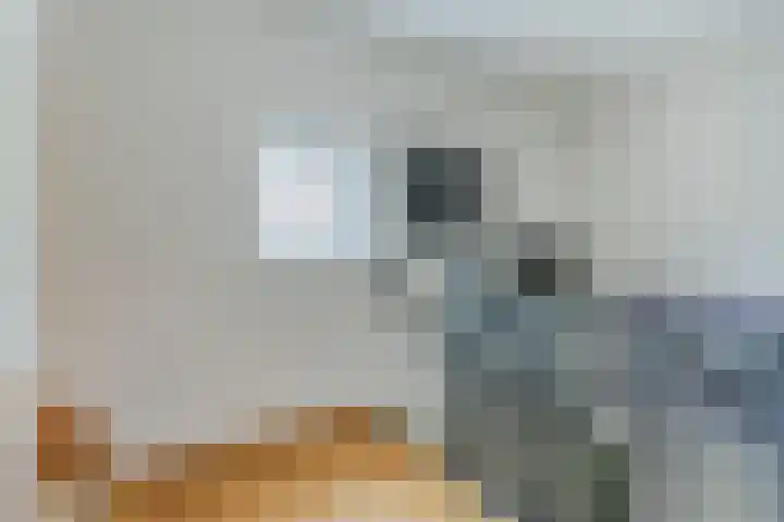 Loo 23 Bergeijk thumbnail 22