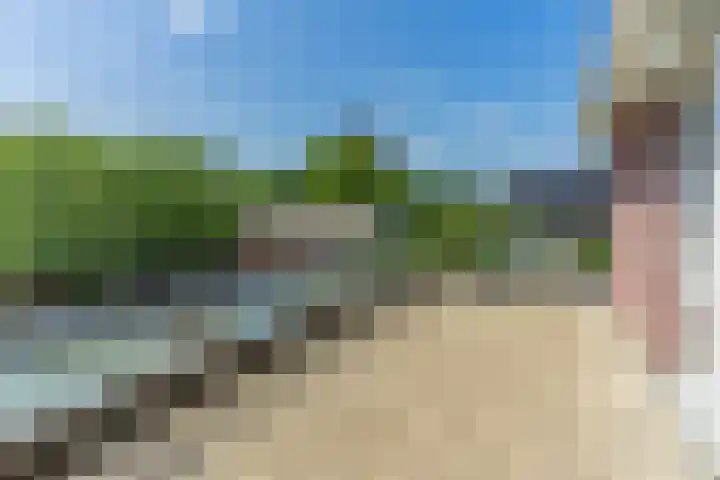 Loo 23 Bergeijk thumbnail 25