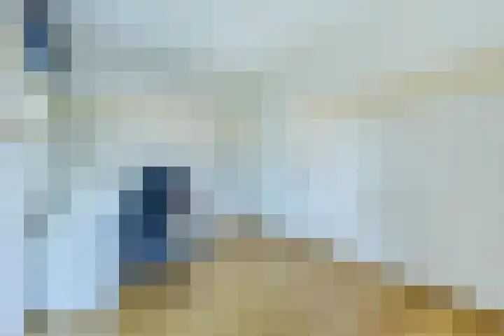 Loo 23 Bergeijk thumbnail 27