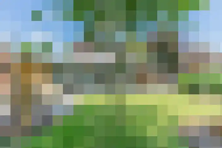 Loo 23 Bergeijk thumbnail 32