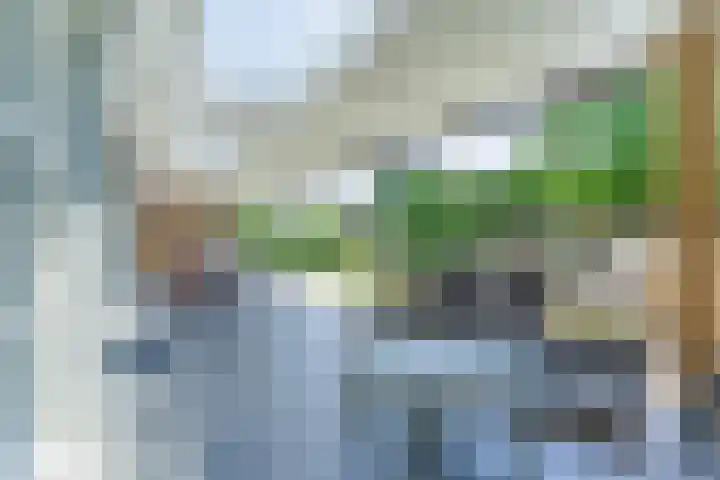 Loo 23 Bergeijk thumbnail 33