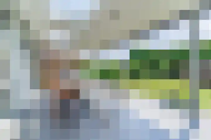 Loo 23 Bergeijk thumbnail 34