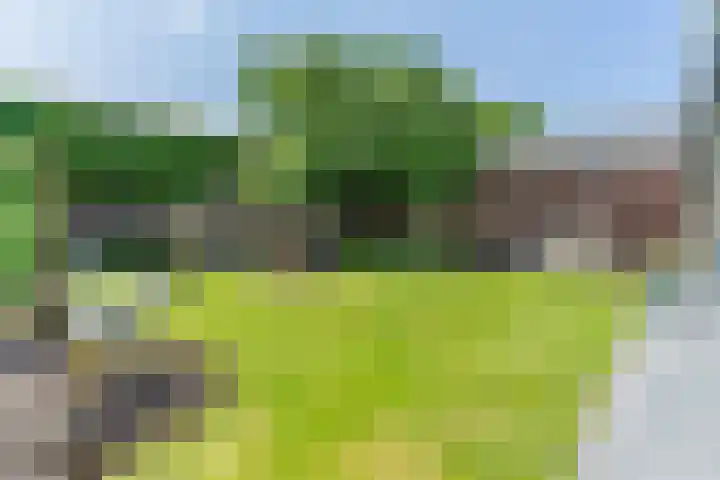 Loo 23 Bergeijk thumbnail 38