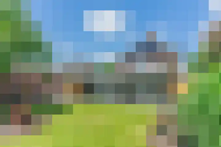 Loo 23 Bergeijk thumbnail 39