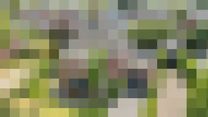 Loo 23 Bergeijk thumbnail 4