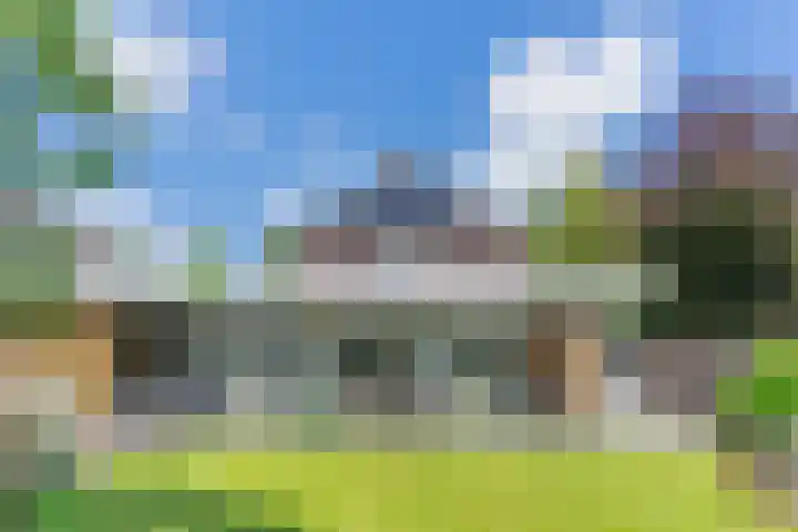 Loo 23 Bergeijk thumbnail 41