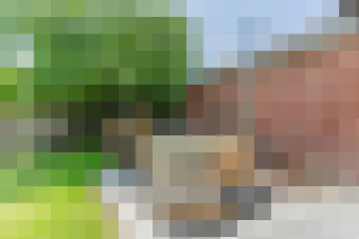 Loo 23 Bergeijk thumbnail 42