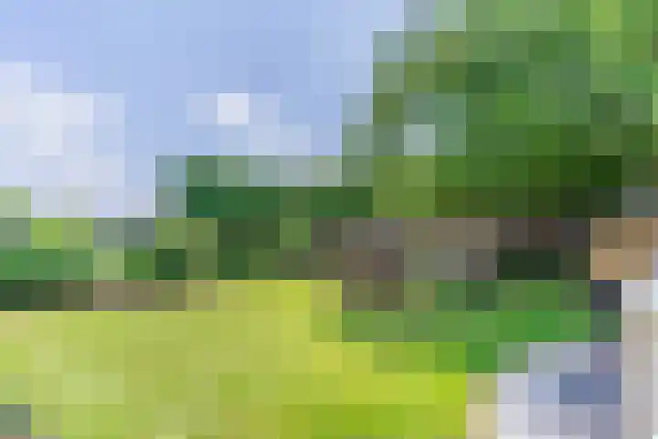 Loo 23 Bergeijk thumbnail 44