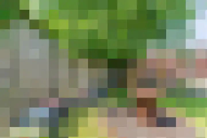 Loo 23 Bergeijk thumbnail 45