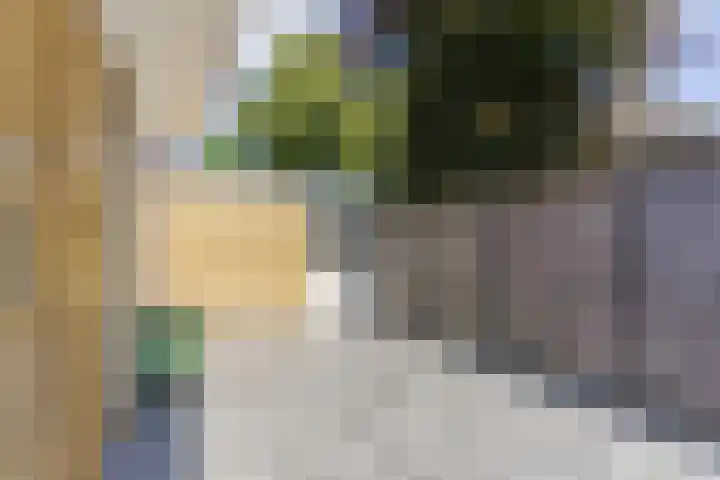 Loo 23 Bergeijk thumbnail 47