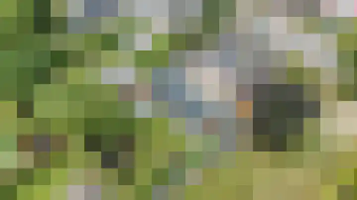 Loo 23 Bergeijk thumbnail 49