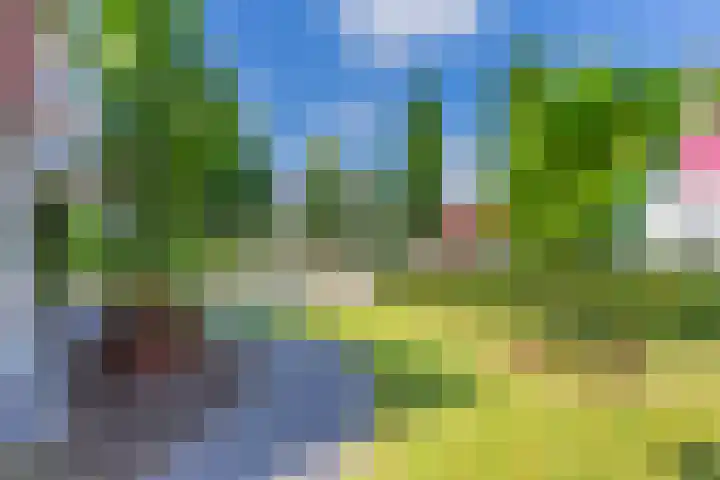 Loo 23 Bergeijk thumbnail 5
