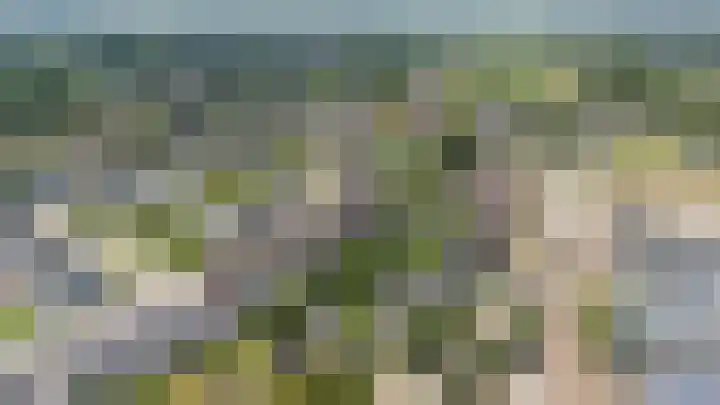 Loo 23 Bergeijk thumbnail 50
