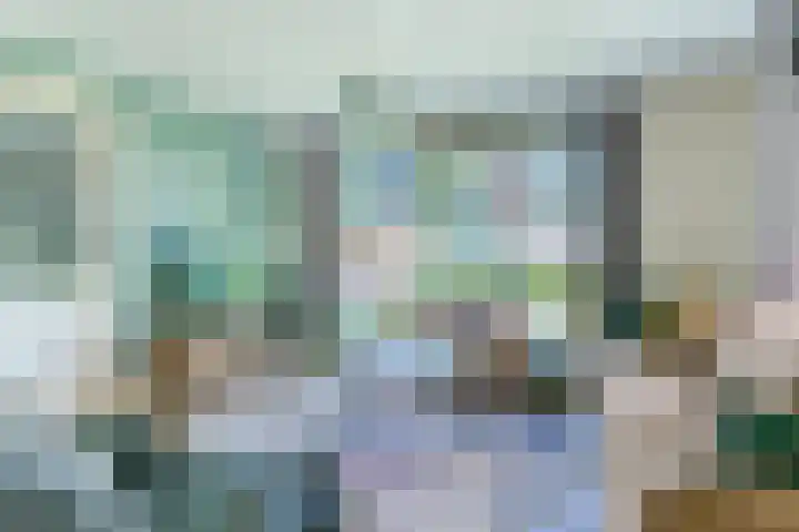 Loo 23 Bergeijk thumbnail 9