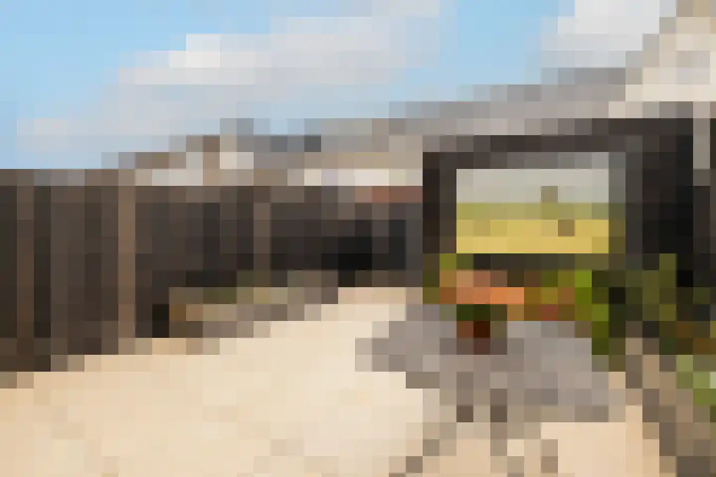 Loo 25 Poeldijk thumbnail 17