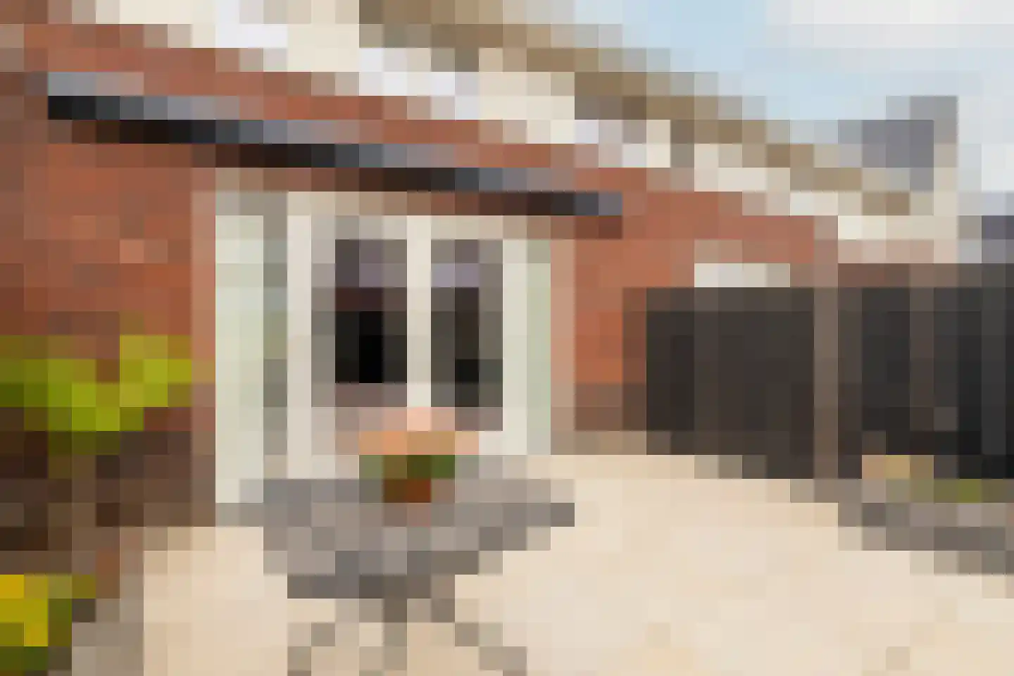 Loo 25 Poeldijk thumbnail 18