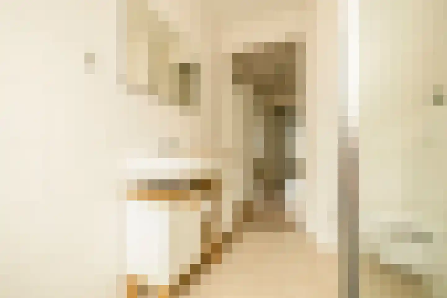 Loo 25 Poeldijk thumbnail 24