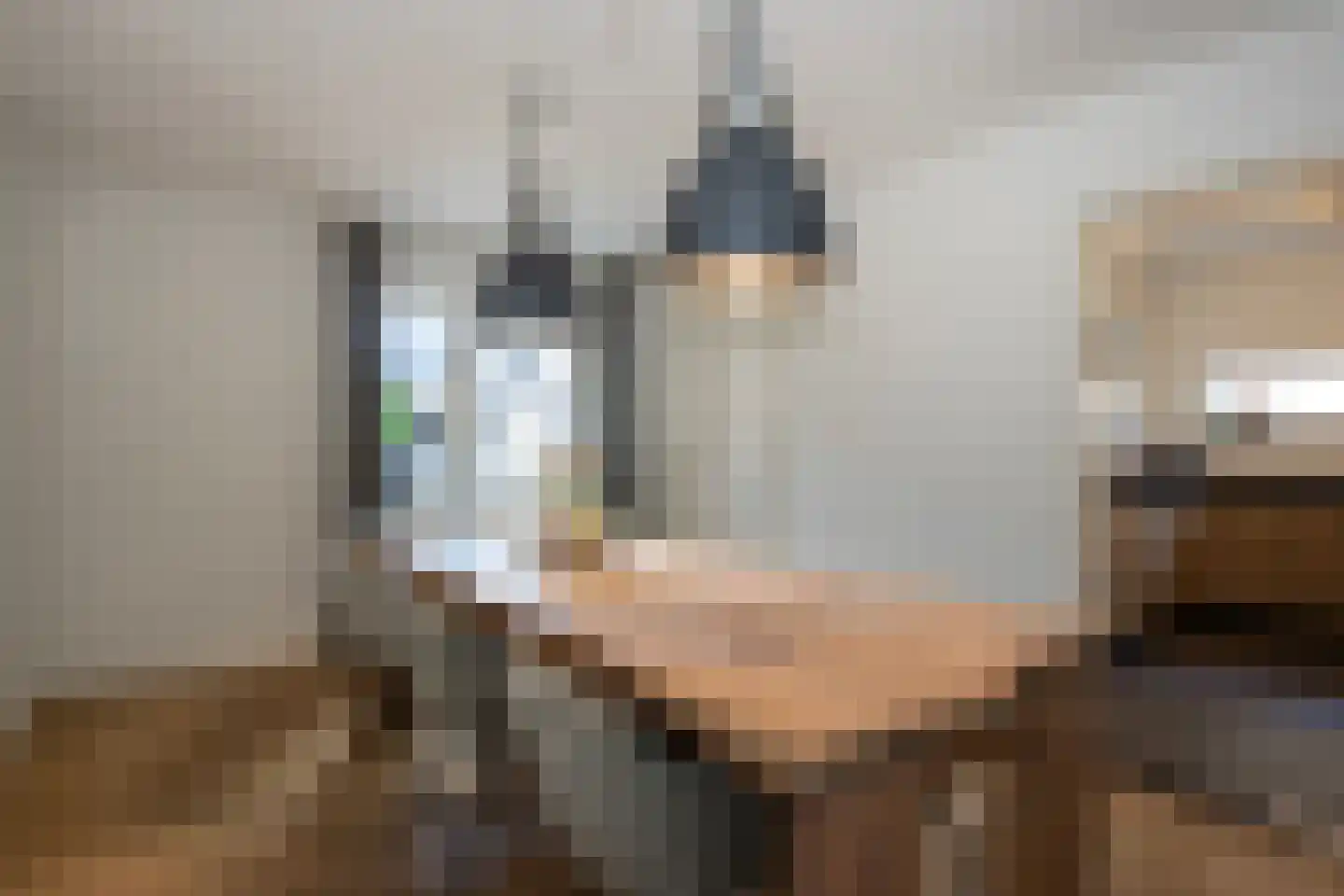 Loo 37 Bergeijk thumbnail 11