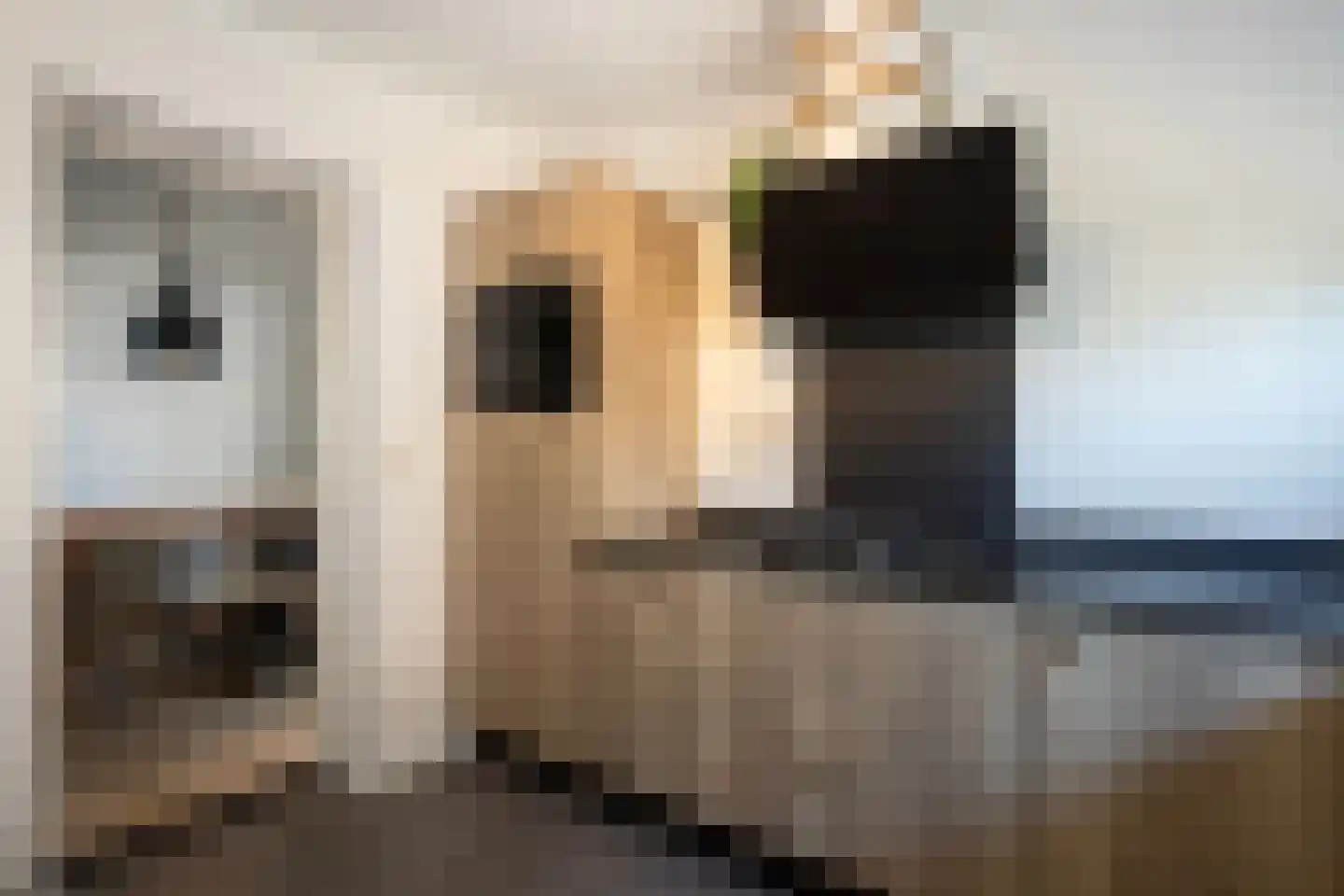 Loo 37 Bergeijk thumbnail 16