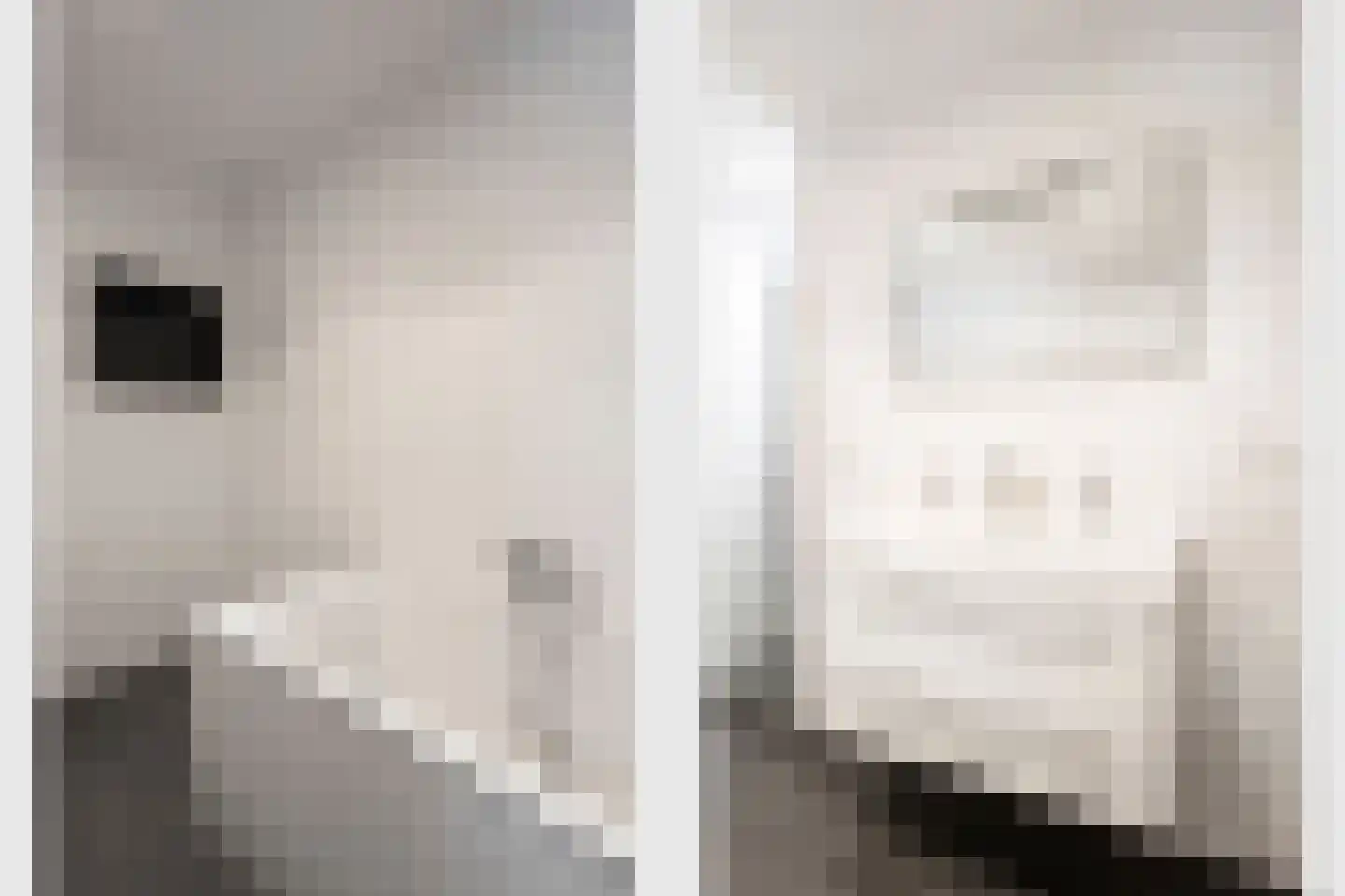 Loo 37 Bergeijk thumbnail 19