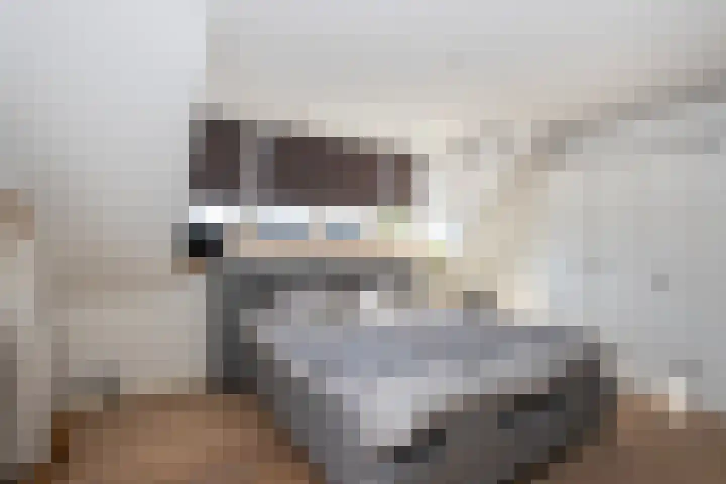 Loo 37 Bergeijk thumbnail 22