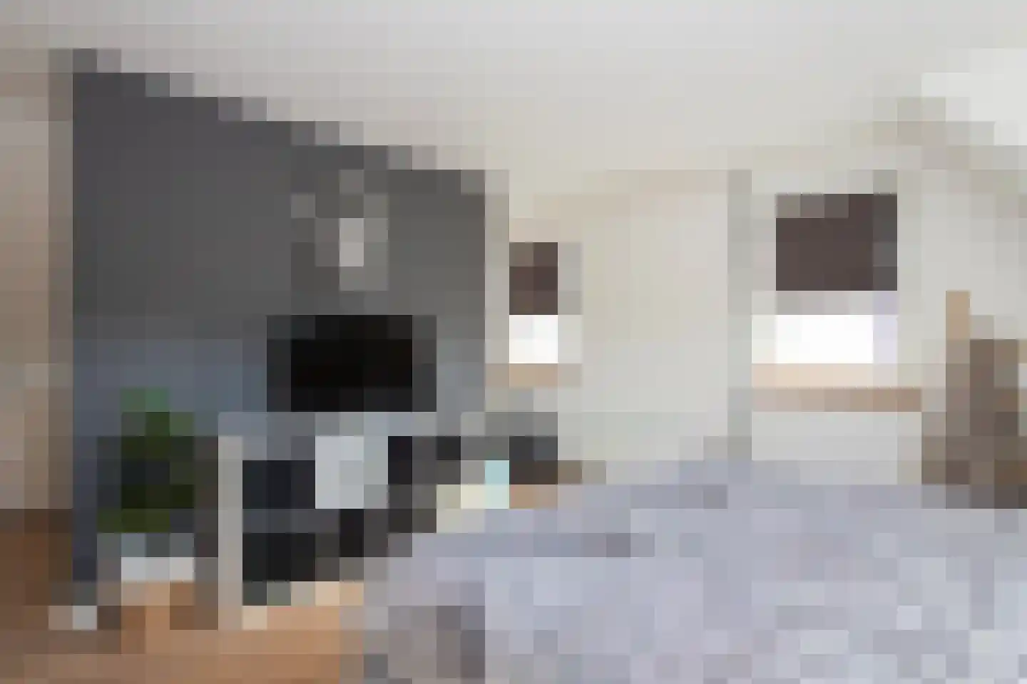 Loo 37 Bergeijk thumbnail 23