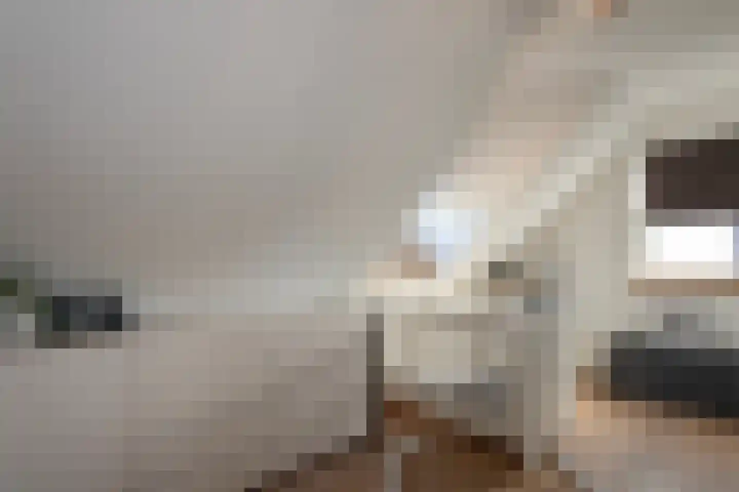 Loo 37 Bergeijk thumbnail 24