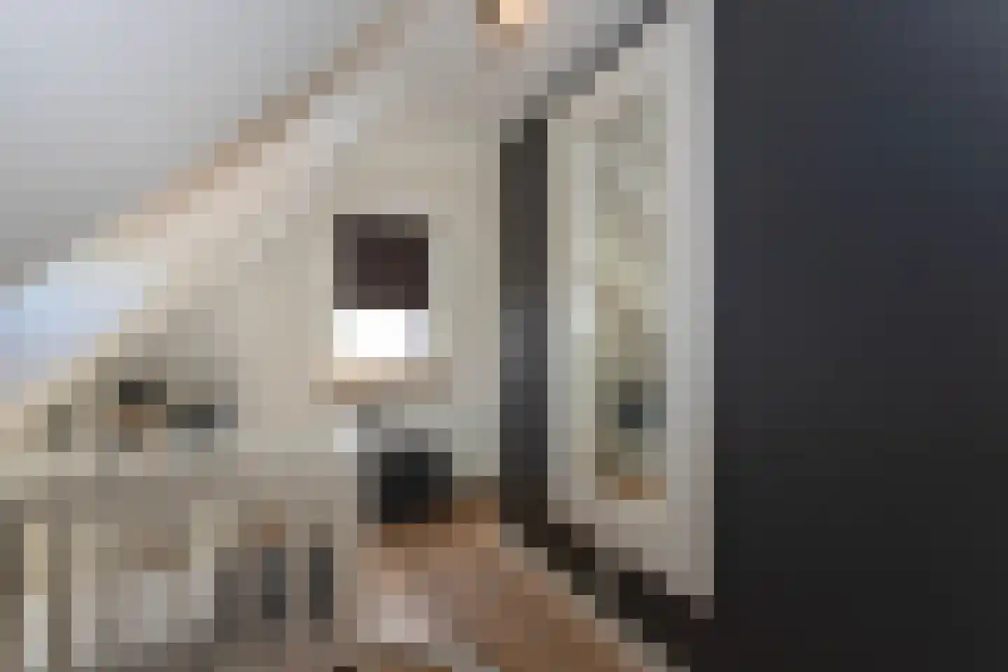 Loo 37 Bergeijk thumbnail 25