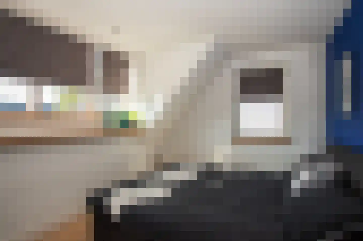 Loo 37 Bergeijk thumbnail 26